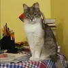 Отзыв от Яна Колосова